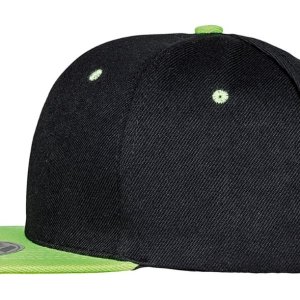 apc-snap-result-bronx-original_2173_5269.jpg