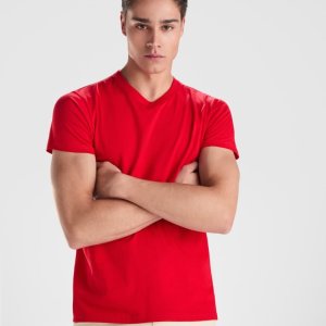 tricou-in-v-roly-samoyedo_3684_5560.jpg